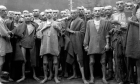 La resistibile crescita del negazionismo