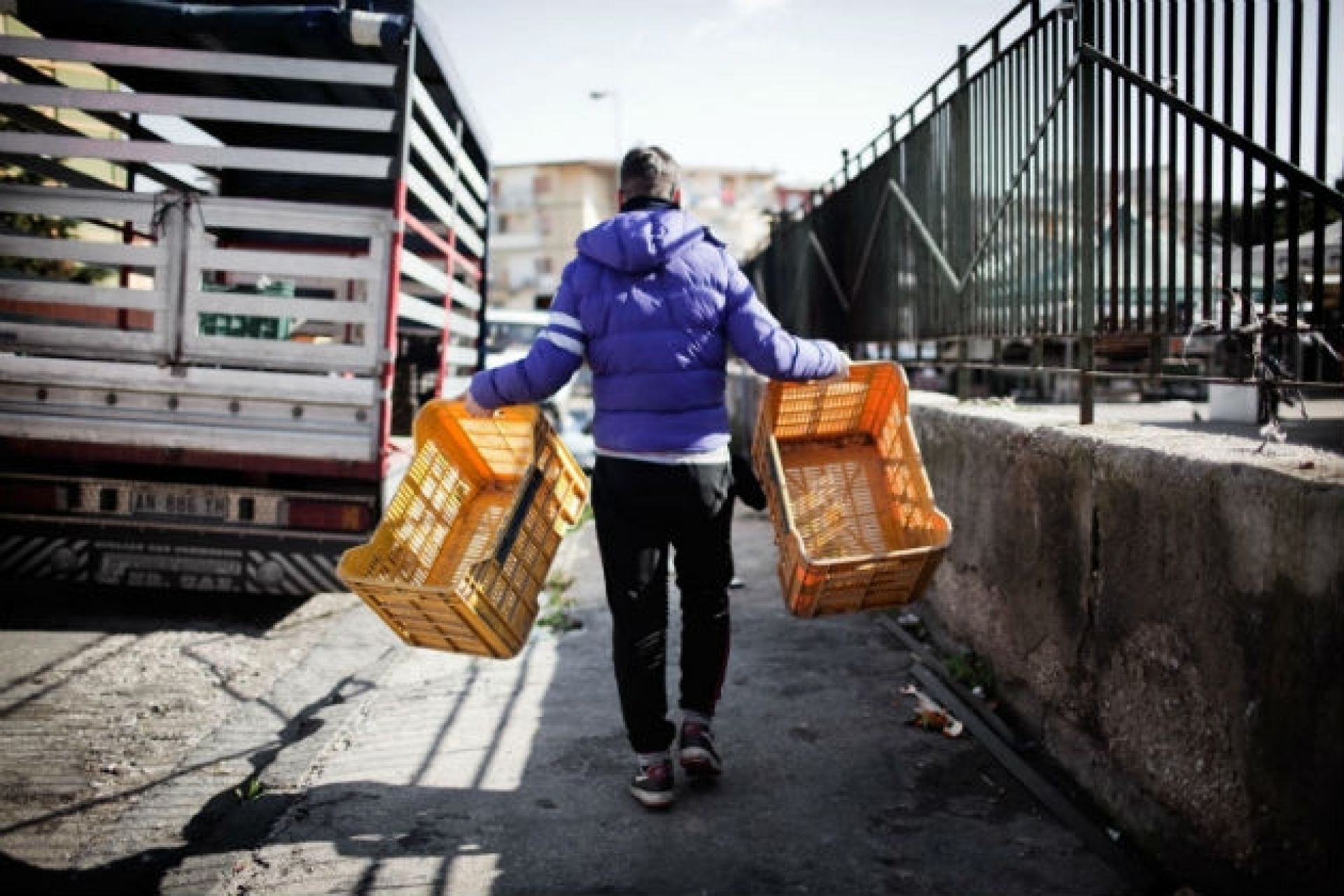 I carusi del XXI secolo. Il lavoro minorile in Italia