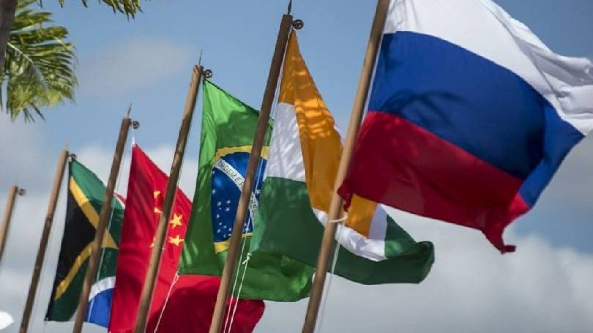 Le prospettive dei Brics - La fattoria Brasile