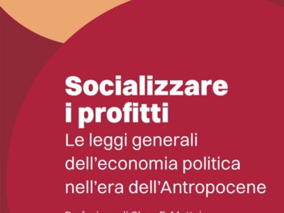 Presentazione del libro Socializzare i profitti Videointervista all'autore prof. Francesco Schettino