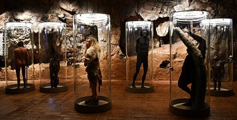 L’uomo tra natura e storia