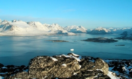 Crisi negli USA, attacco al Venezuela, caso Groenlandia.