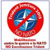 Nascono i Comitati No Trident