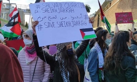 Manifestazione per la Palestina