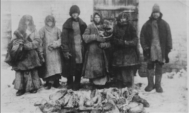 Holodomor, la carestia ucraina del 1933: La tesi genocidaria
