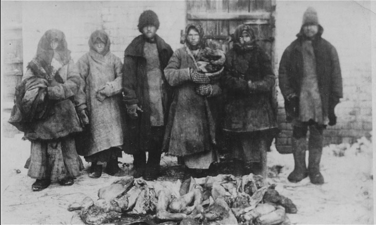 Holodomor, la carestia ucraina del 1933: La tesi genocidaria