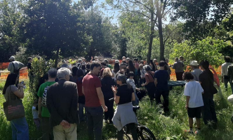 Roma, tra Proclami Green e Motoseghe: Il Paradosso di Pietralata e il Tramonto del Verde Pubblico